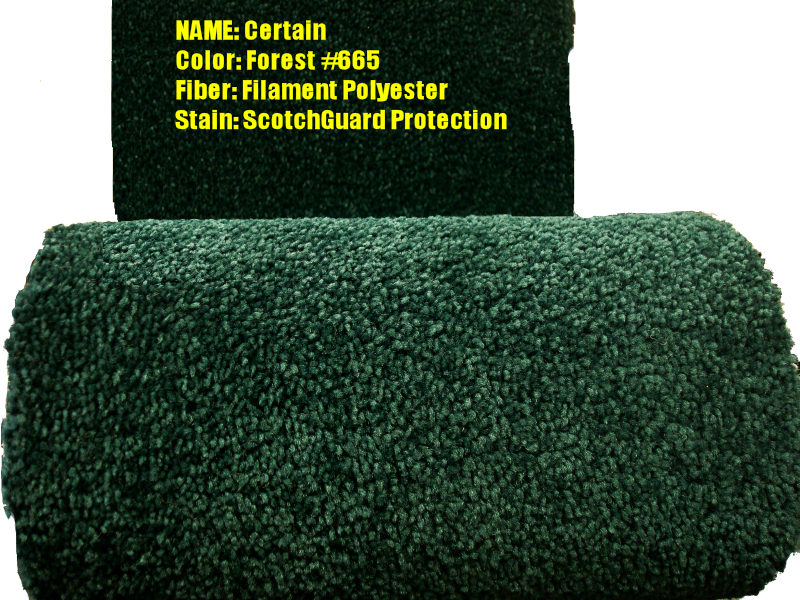 Carpet Villa Area Rugs Houston Tx Pictures Of Specials A Midgrade Forest Green Carpet