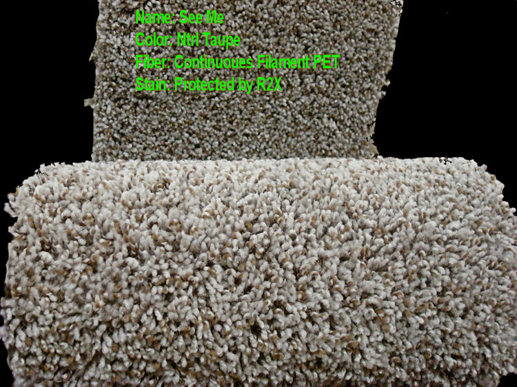 Carpet Villa Area Rugs Houston Tx Pictures Of Specials A Nice Soft Feel Carpet With Face Weight Of 26 Ounces Fibers Have High Stain Resistant Protected By R2x Protectant For Durable Long