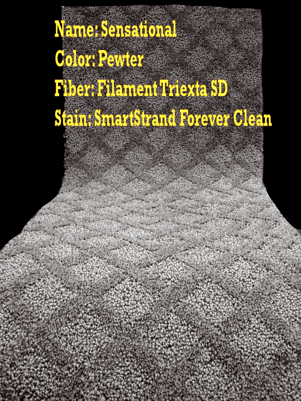 Carpet Villa Area Rugs Houston Tx Pictures Of Specials A High Grade Durable Soft Pattern Carpet This Does Not Shed And Is Made Of Premium Solution Dyed Fibers Designed To Hold Up In Traffic Areas
