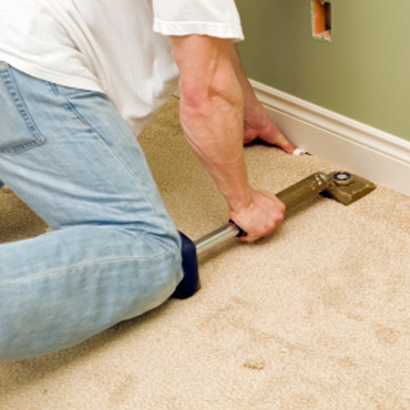 Carpet